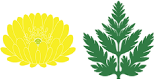 フクジュソウ（早春）