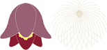 オキナグサ