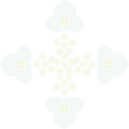 コガクウツギ