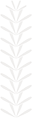 シライトソウ