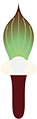 ユキモチソウ