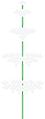 ヤブミョウガ