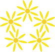 タイキンギク
