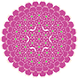 タマムラサキ