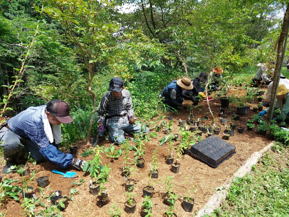 植栽会