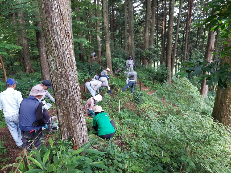 植栽会