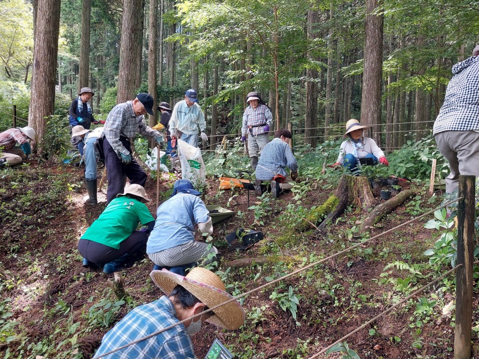 植栽会