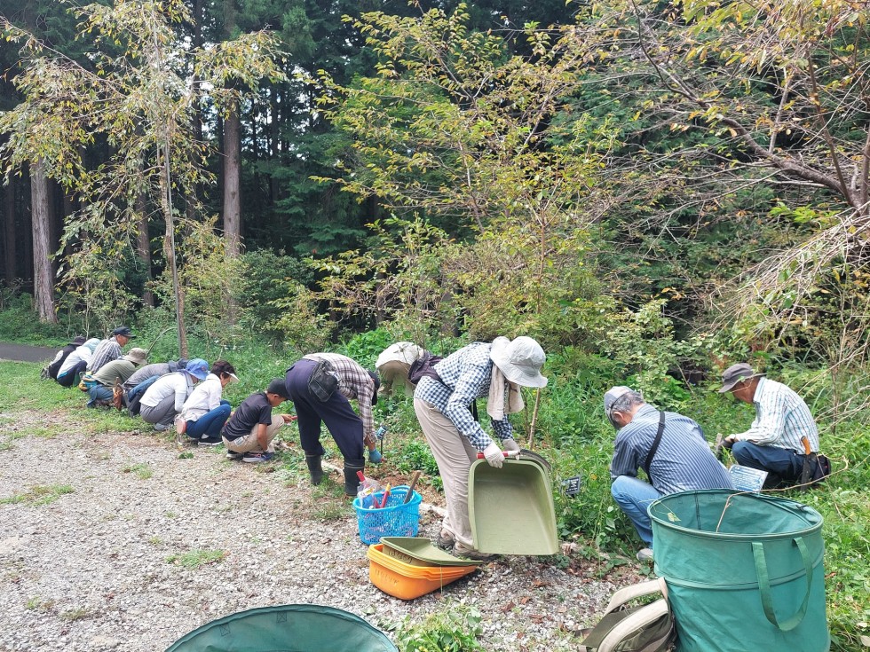 お手入れ作業