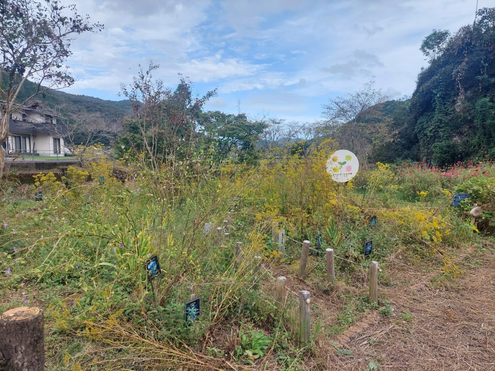 尾川中学校