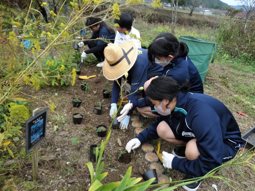 尾川ガーデン