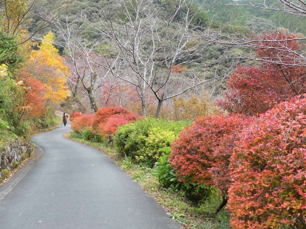 牧野公園