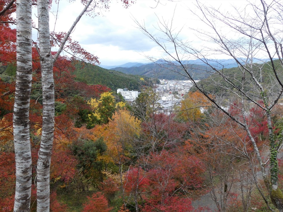 牧野公園