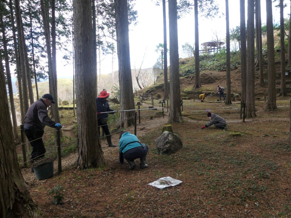 牧野公園
