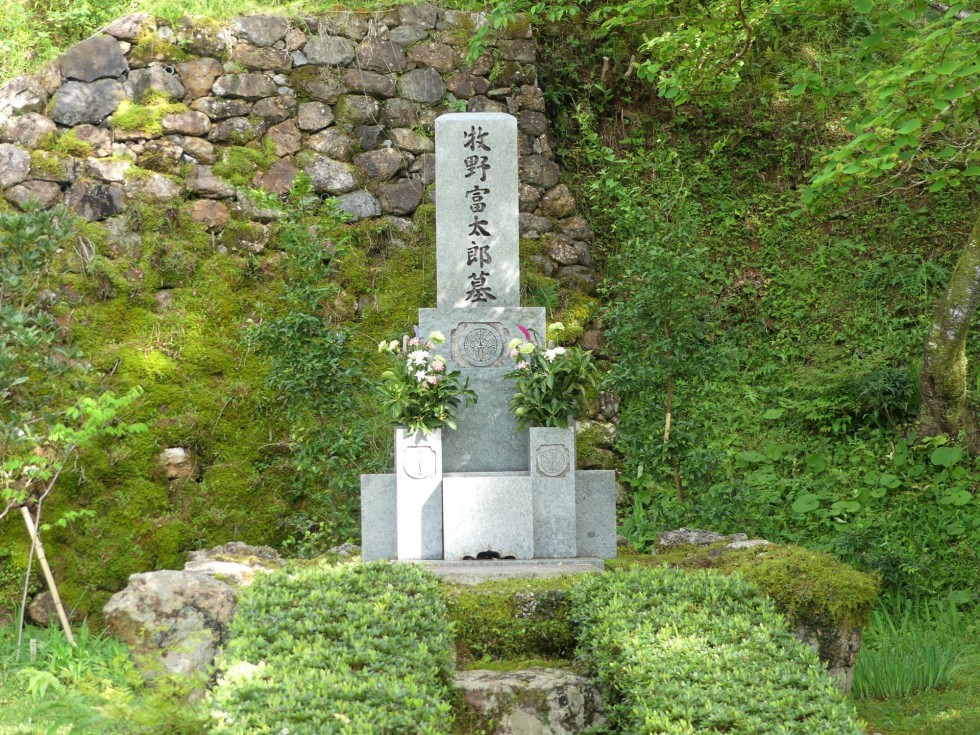 牧野富太郎