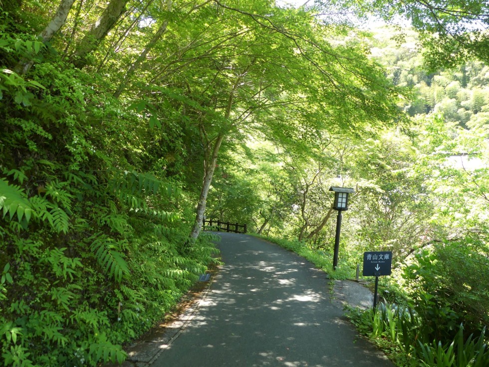 牧野公園