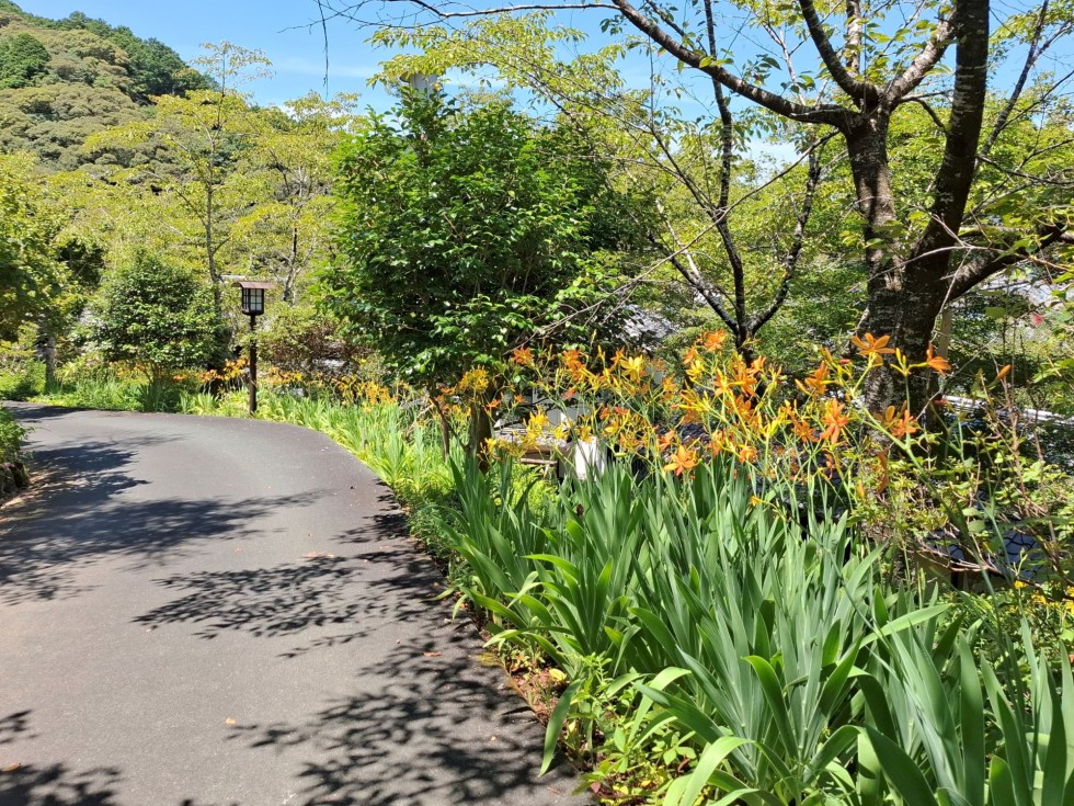 牧野公園