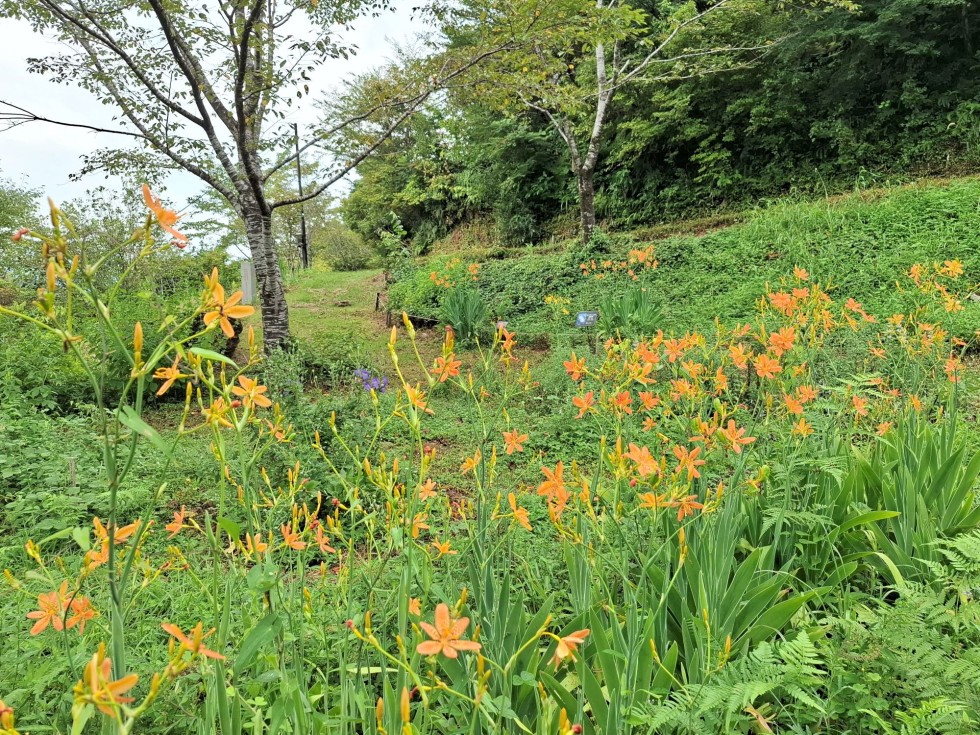牧野公園