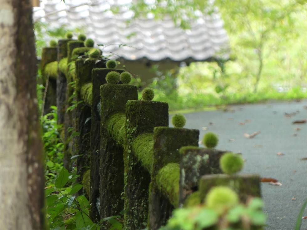 牧野公園