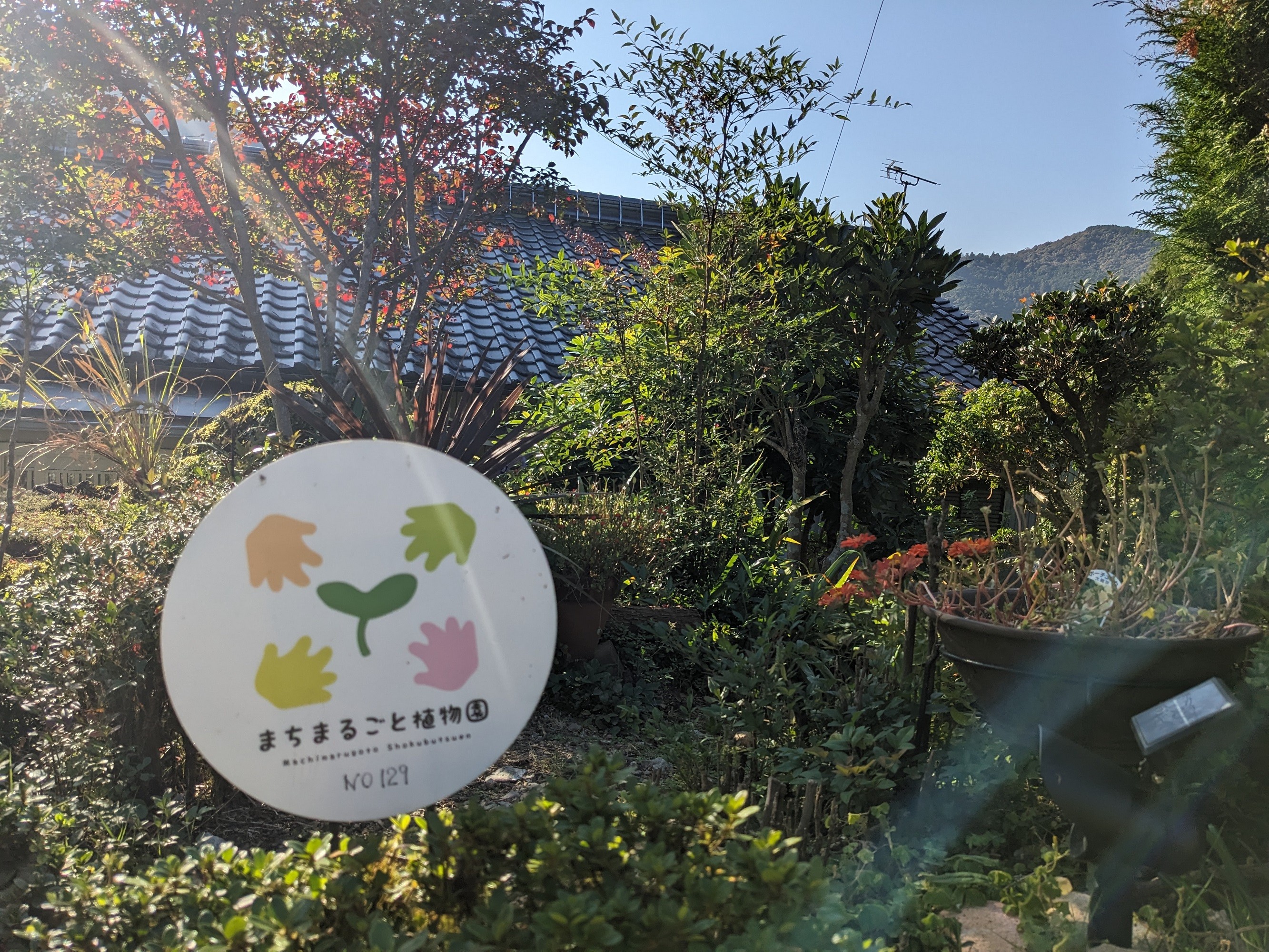 タケちゃんのお庭