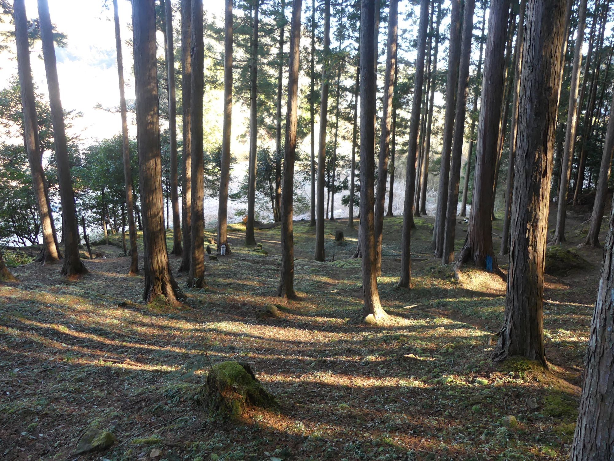 眞辺誠男さんのバイカオウレン山