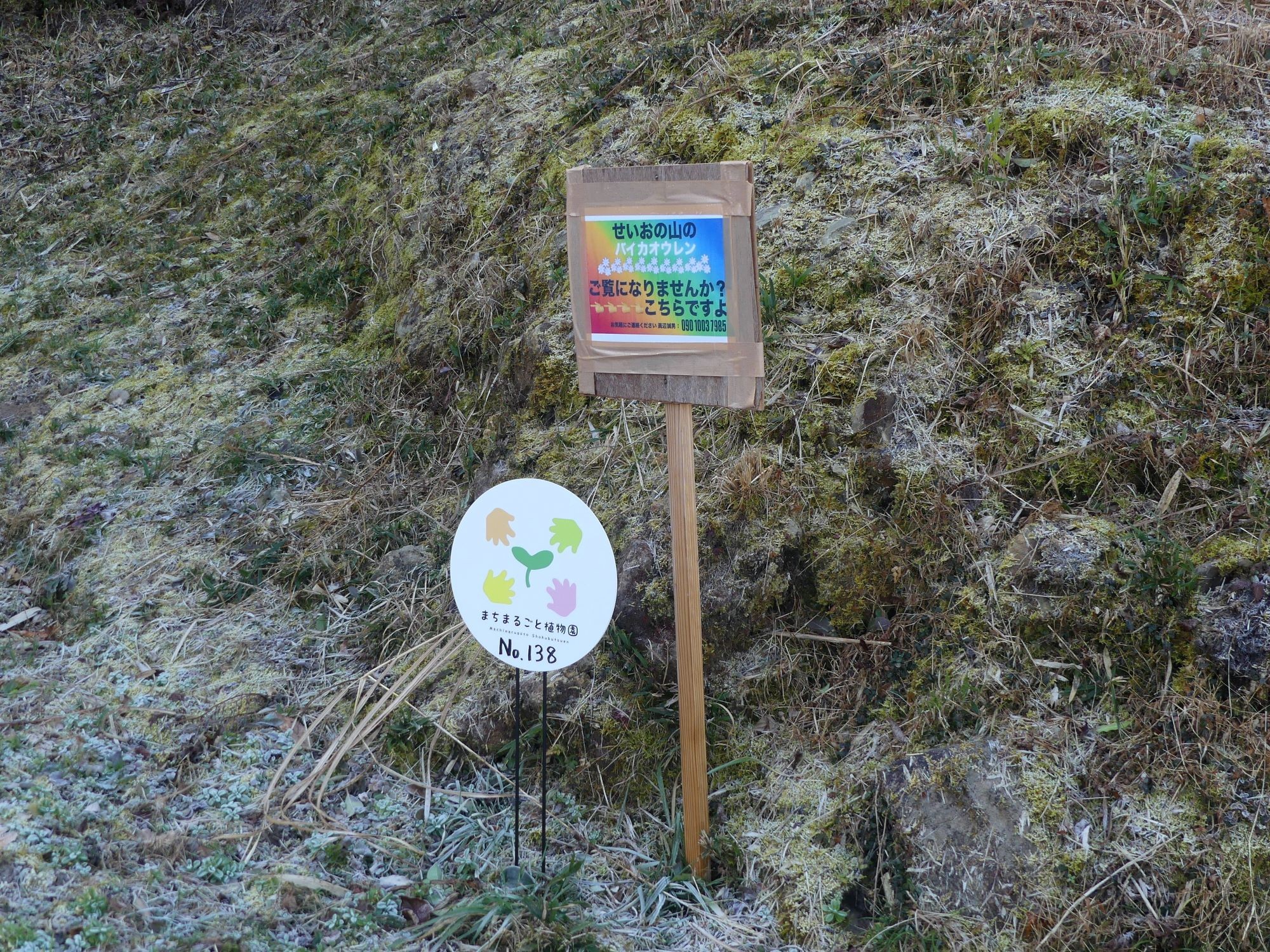 眞辺誠男さんのバイカオウレン山